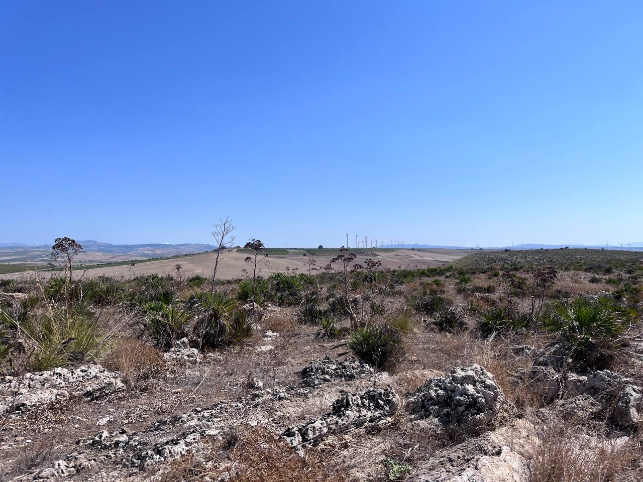 Sopralluogo al sito archeologico di Roccazzo della IV Commissione consiliare 